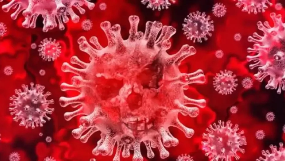 First death confirmed from Chandipura virus claims 4 year old girls life 01