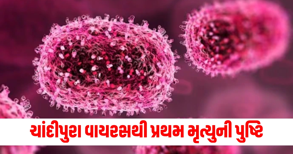 First death confirmed from Chandipura virus claims 4 year old girls life