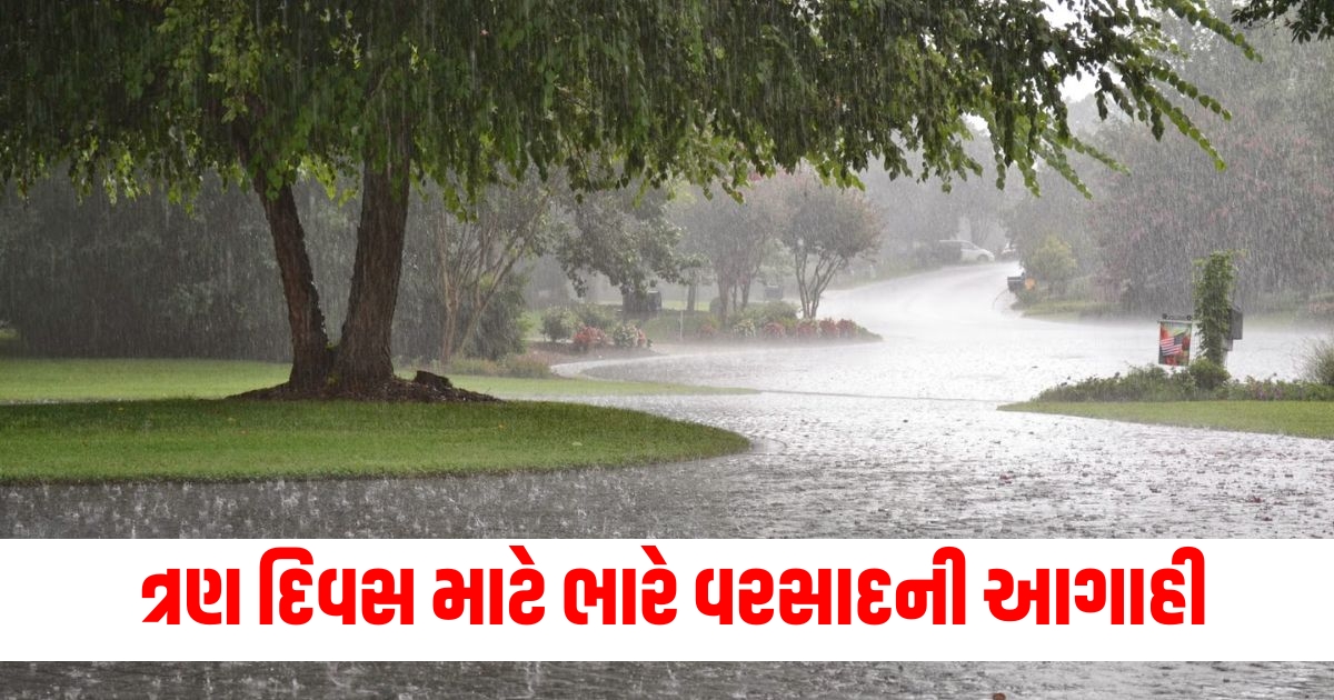 Heavy rain forecast for the next three days in the Indus Gangetic plains