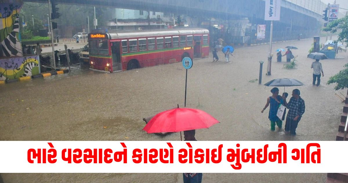 Heavy rain halts Mumbais movement public transport services halted