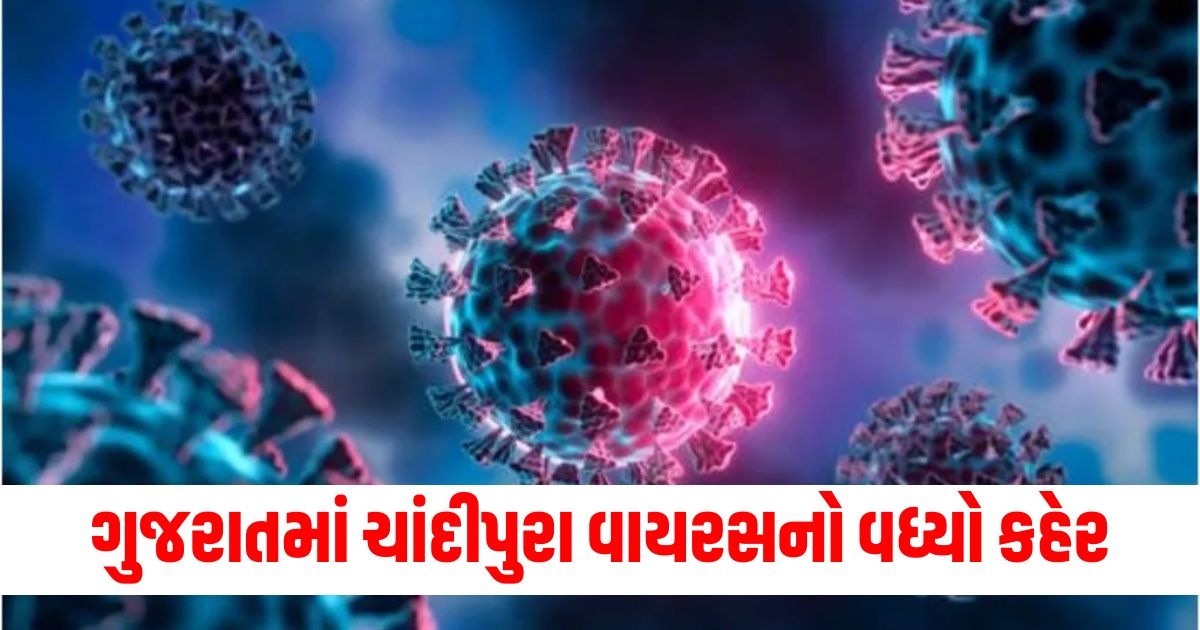 Increased incidence of Chandipura virus in Gujarat