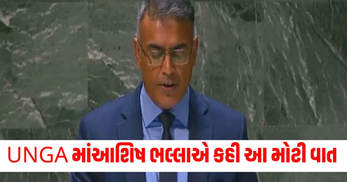 Indias military advisor Ashish Bhalla said this big thing in UNGA