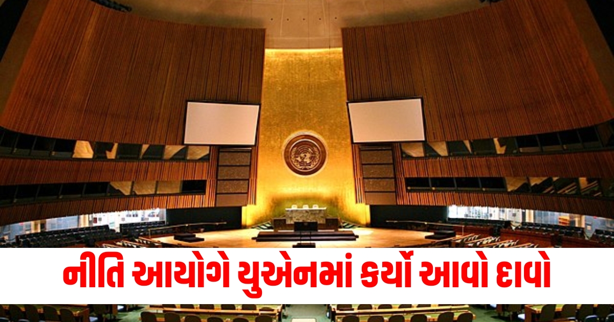 Niti Aayog made such a claim in the UN regarding India