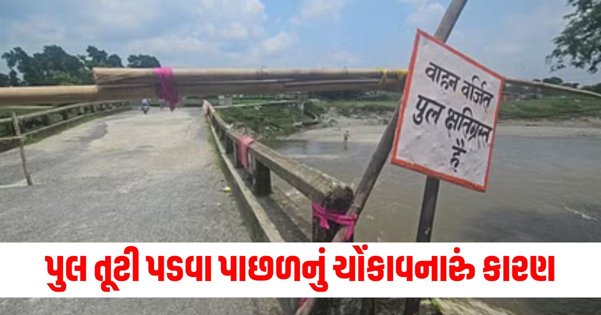 The shocking reason behind the bridge collapse in Kishanganj was revealed