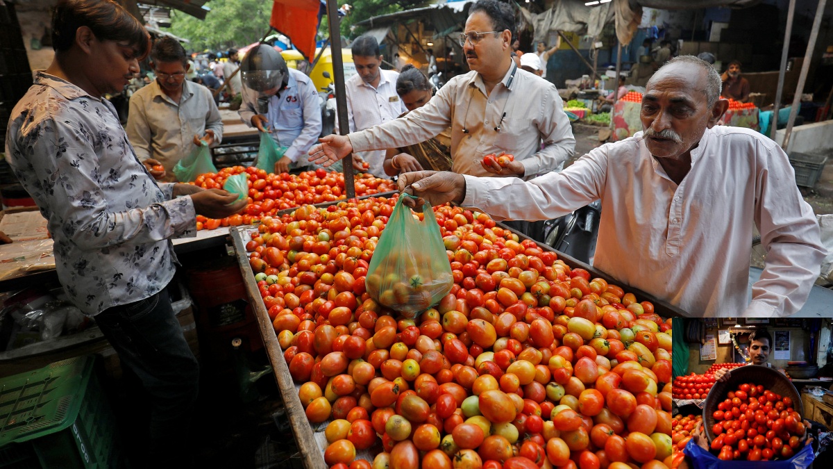 Tomato prices skyrocket IIHRs invention will save from this inflation know how 1