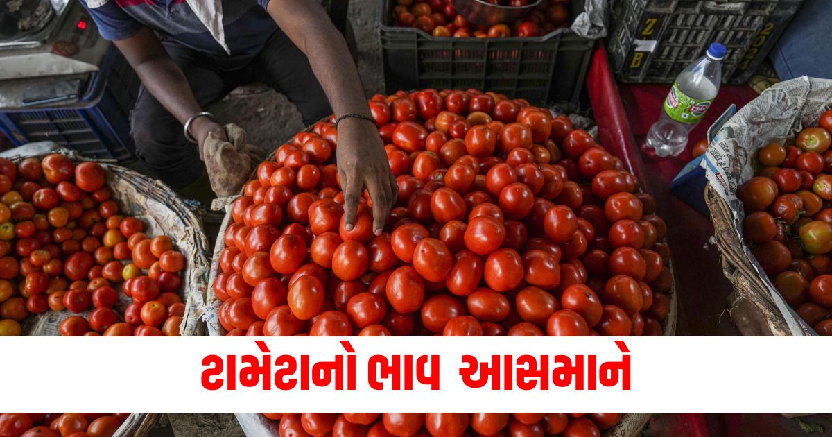 Tomato prices skyrocket IIHRs invention will save from this inflation know how