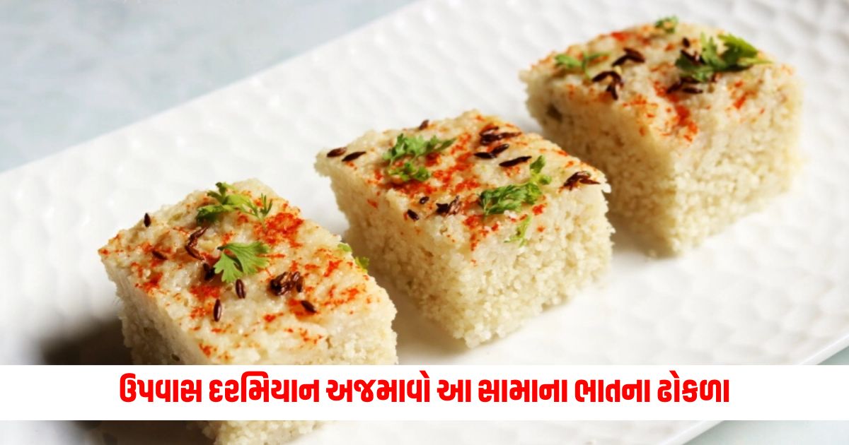 Try this samana rice dhokla during fasting learn the easy way to make it