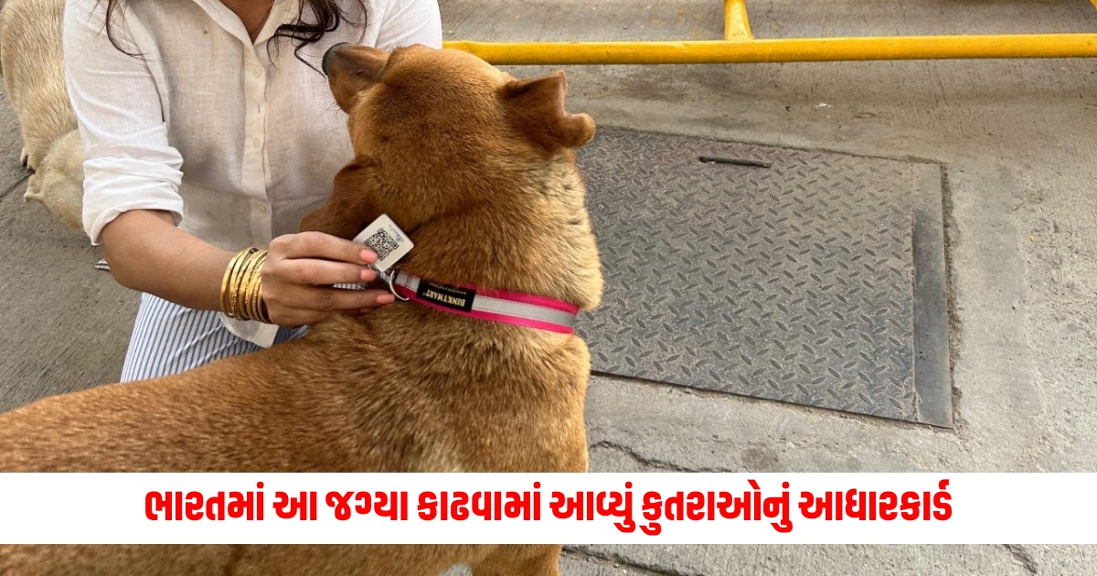 aadhaar card for dogs issued at this site in india f