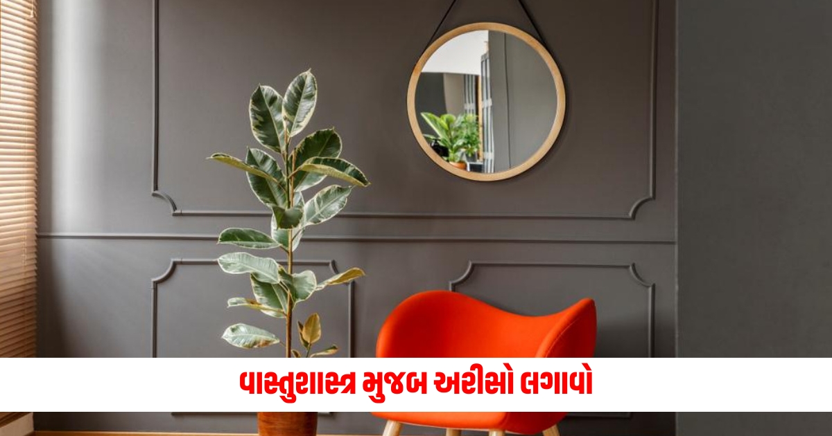 according to vastu shastra install a mirror it brings prosperity in the housev f