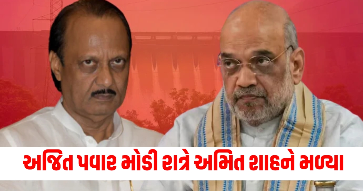 ajit pawar meets amit shah for seat sharing and devendra fadnavis after this f