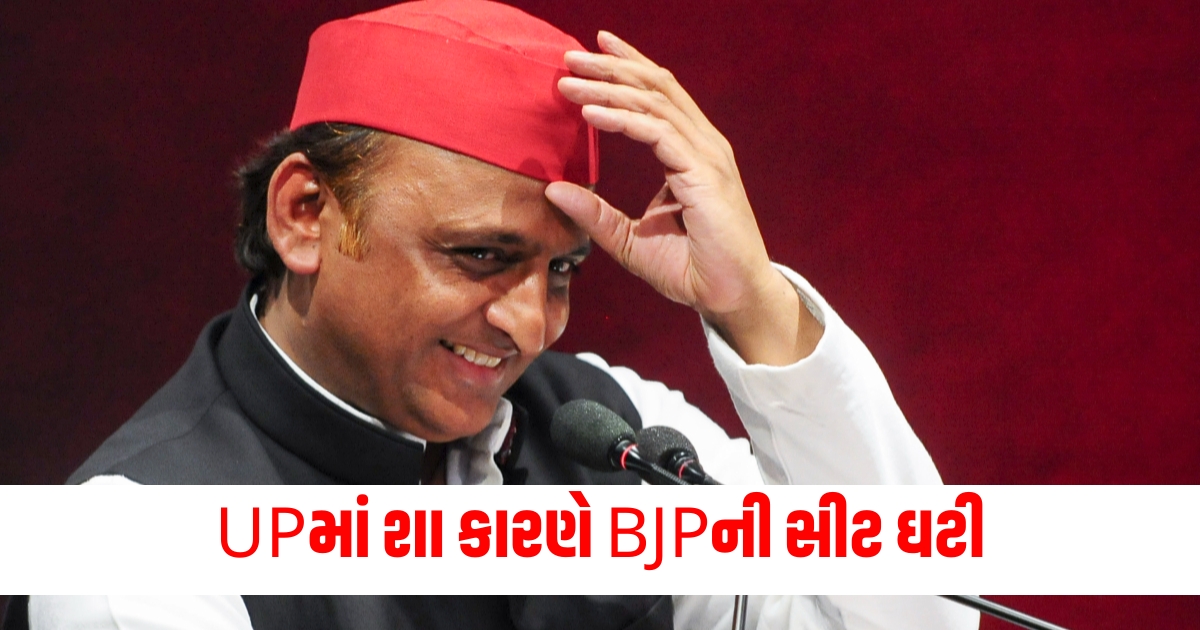 akhilesh yadav in parliament on bjp seats in lok sabha election f