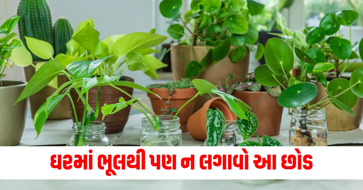 do not plant these plants in home f