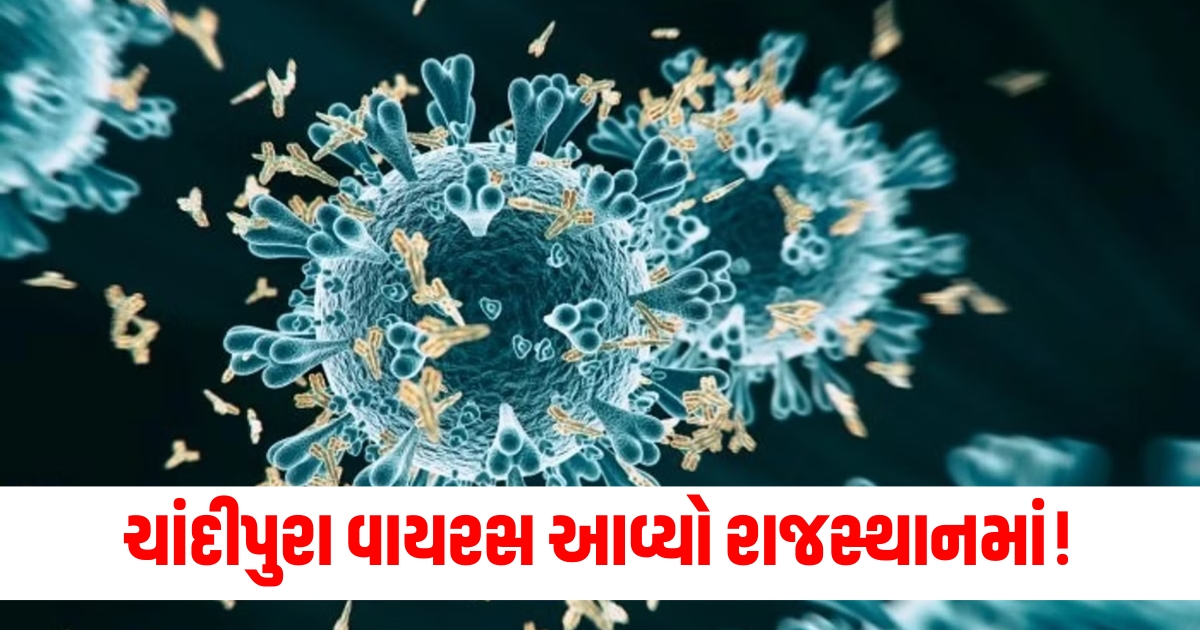 four kids die due to suspected chandipura virus infection in gujarat f