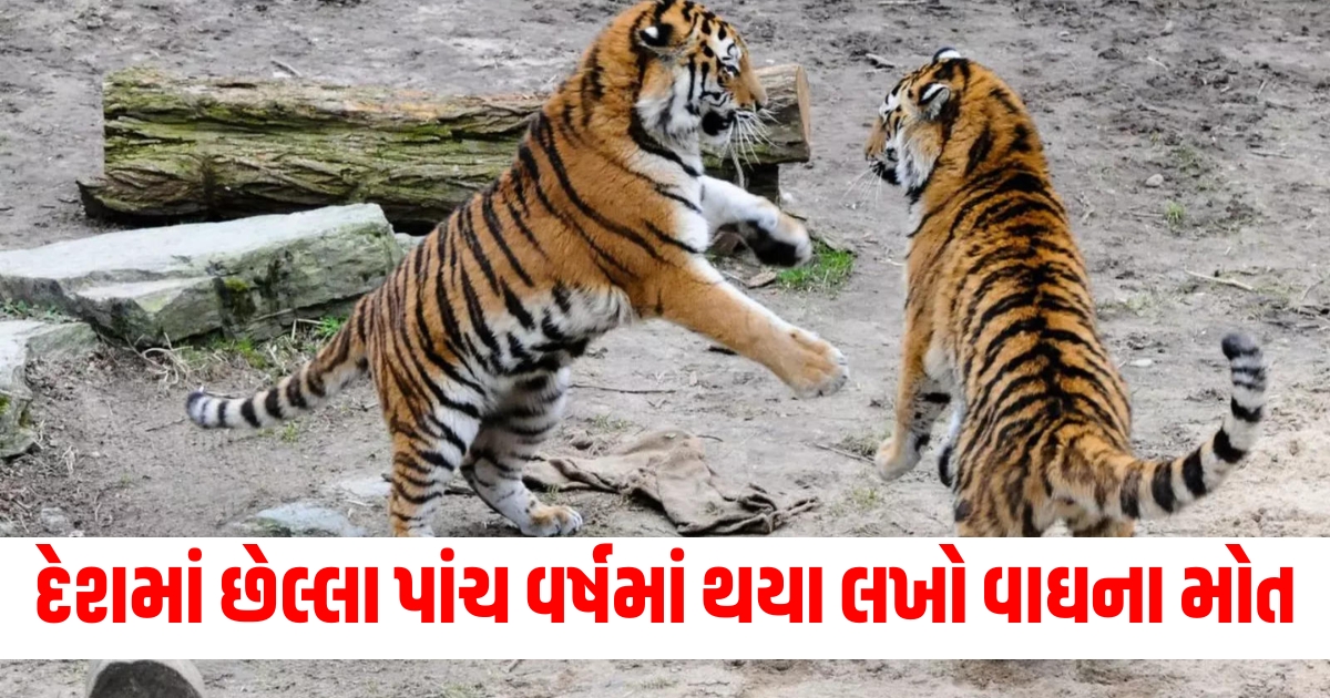 parliament news updates environment minister of state revelas tigers death data lok sabha rajya f