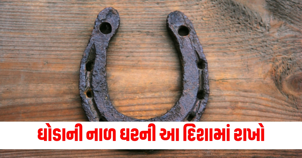 shani jayanti 2024 vastu tips keep horseshoe near maingate to bring positivity and happiness f