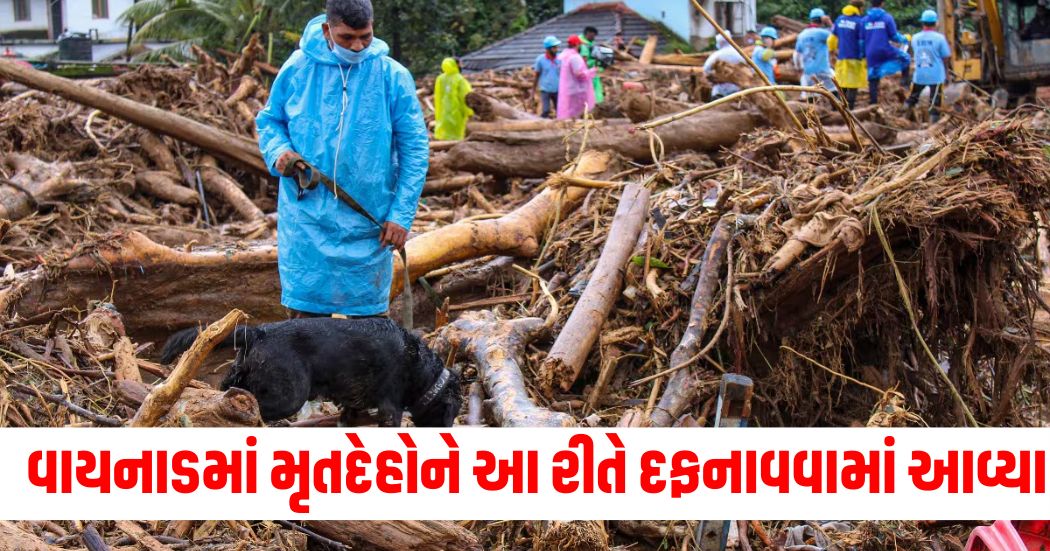 Bodies were mass buried in Wayanad raising the death toll to 387