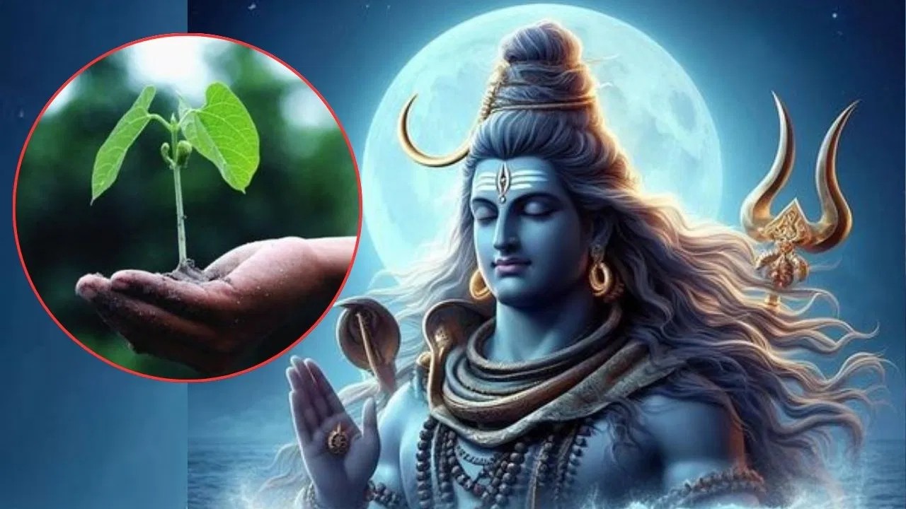 Do special worship of Lord Vishnu on Hariyali Amavasya day you will get salvation 1