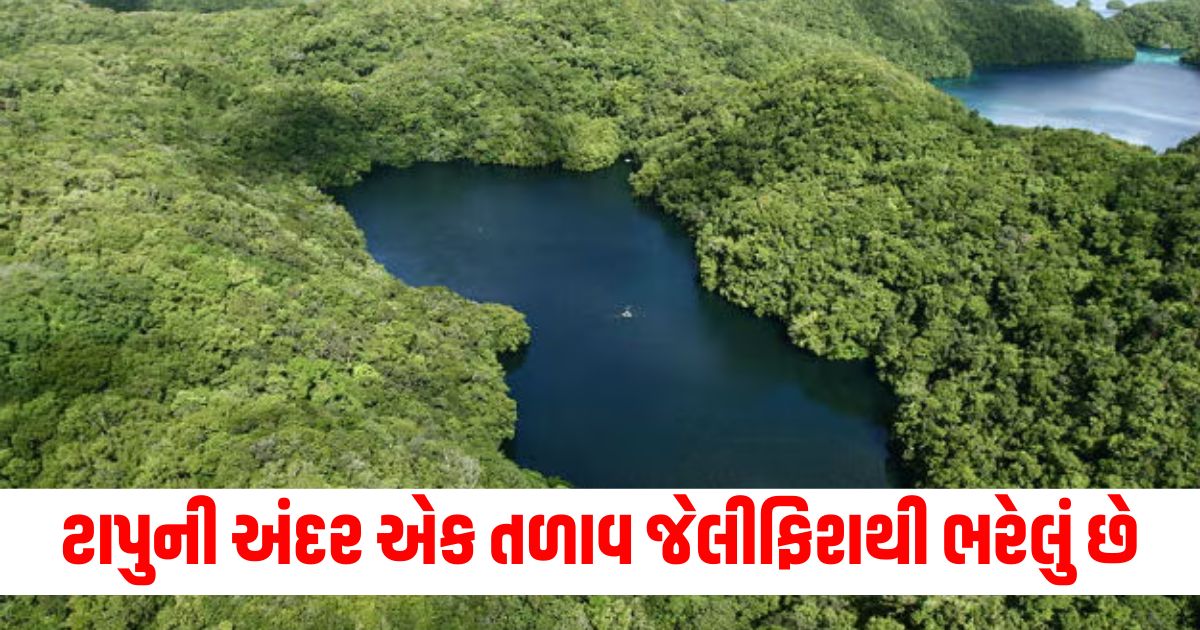 Inside the island is a lake full of jellyfish which move in a special pattern