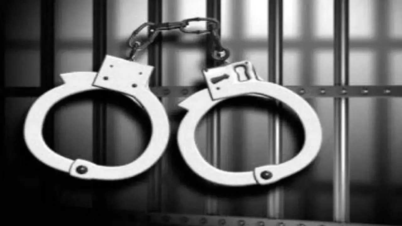 Sea creature smuggling busted DRI arrests 3 from Bangalore airport 1