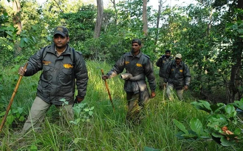 The foresters who protect the forests forests and coexistence of trees got their right became the owners of the lands. 1