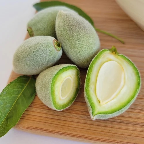 beauty benefits of green almonds which keep skin young and glowing 1