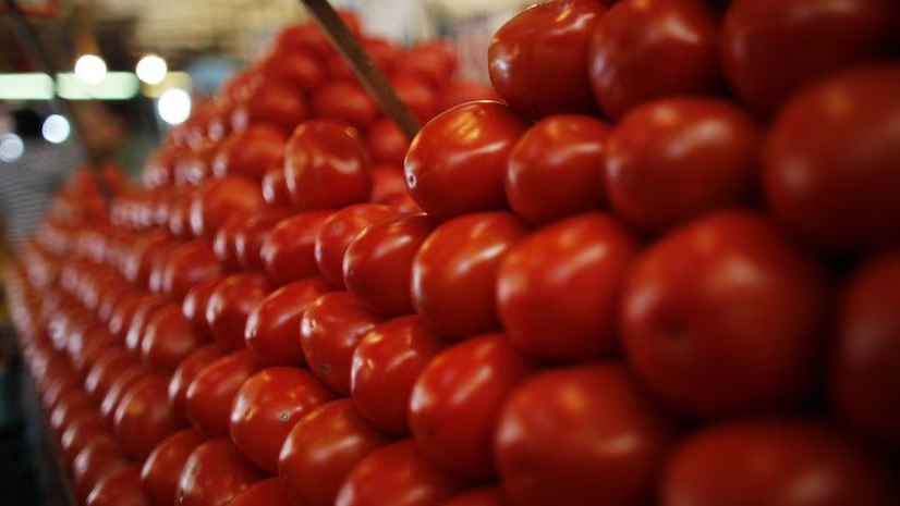 cherry tomato is being sold at the price of apple the farmers here are earning big money 1