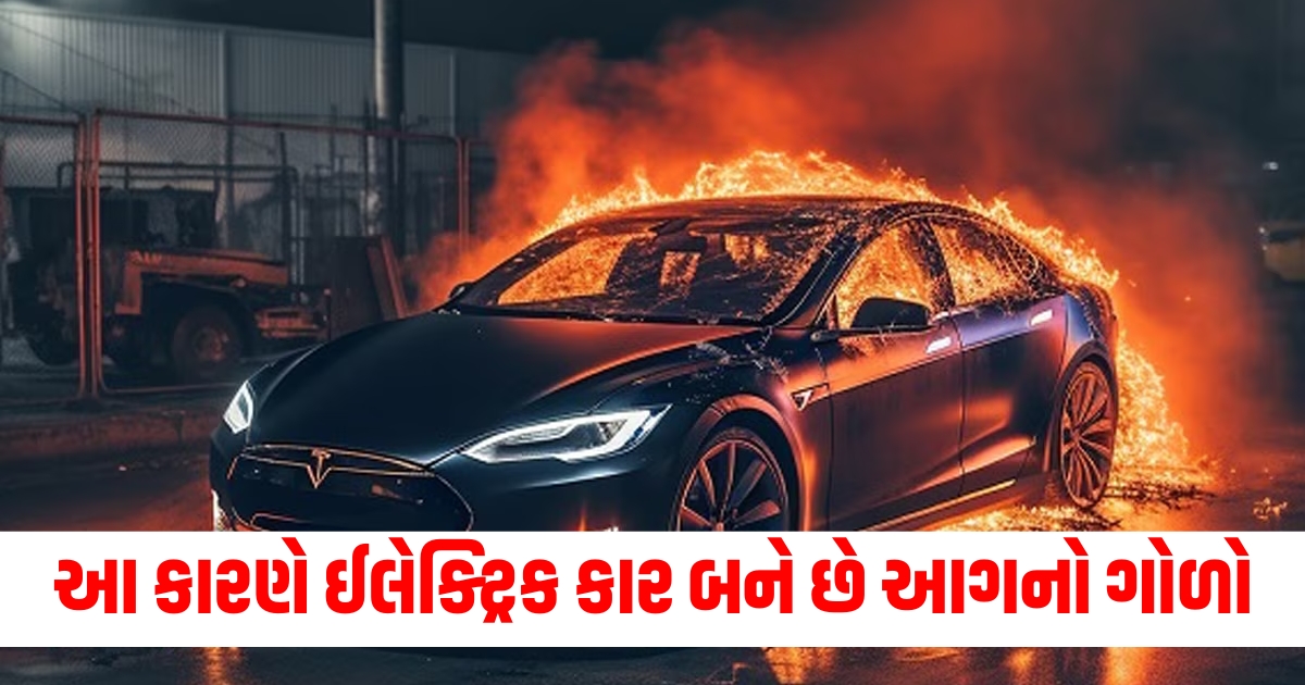 electric car catches fire owner mistakes