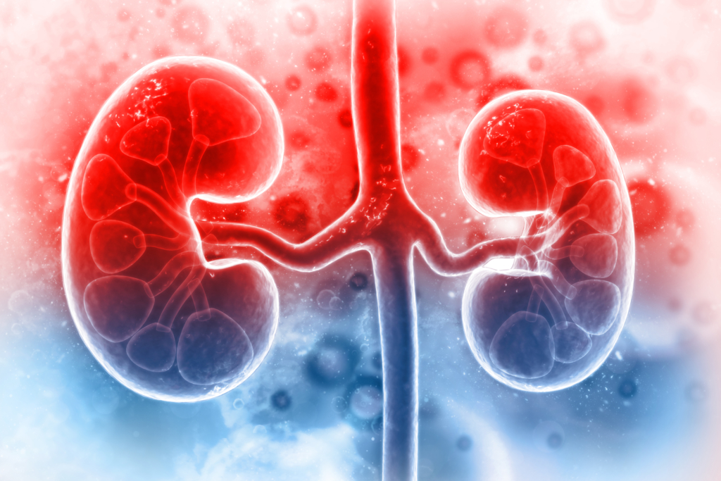 five good habits to make your kidney healthy 2