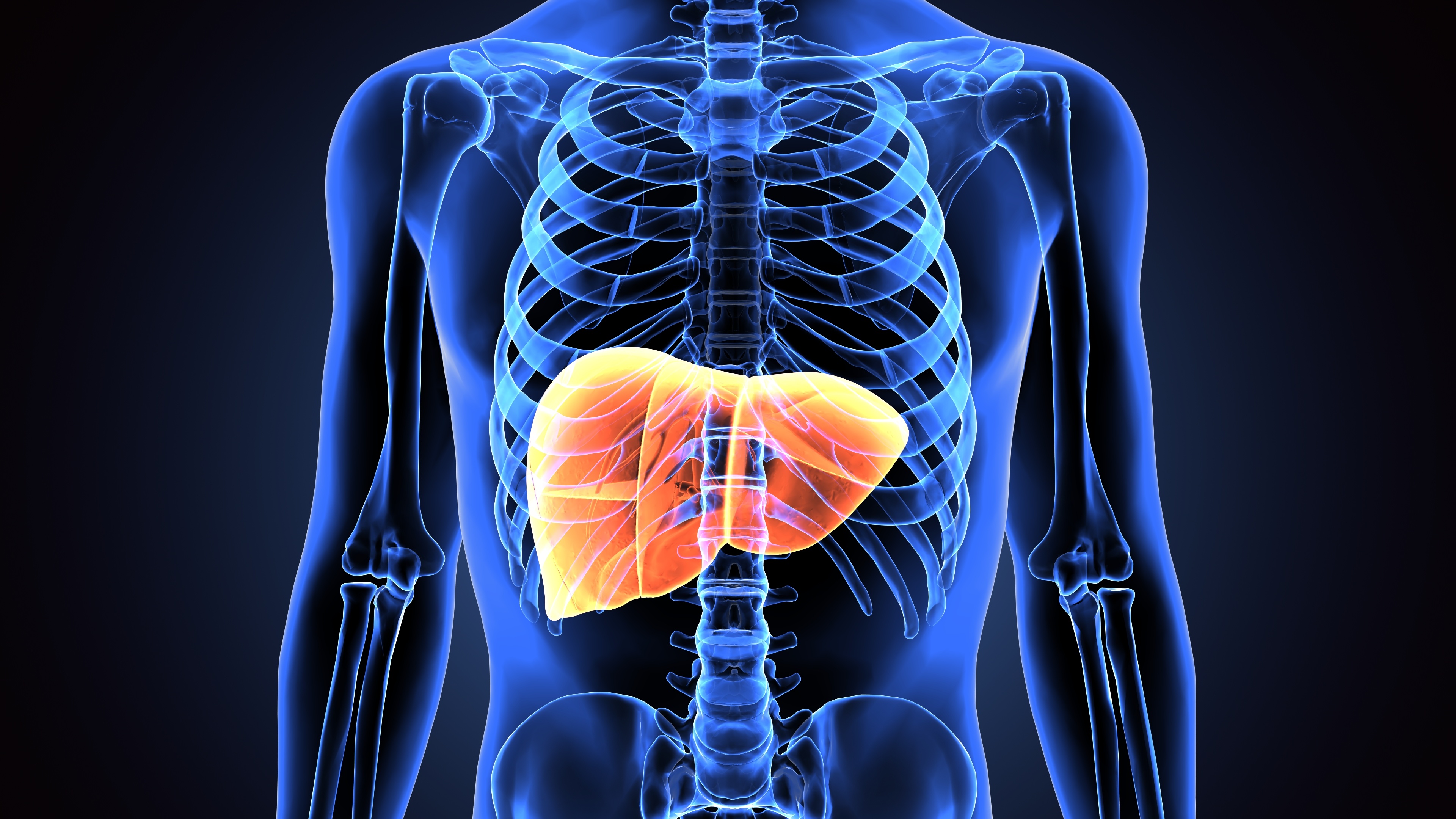 habits which can harm liver and increase risk of fatty liver 1