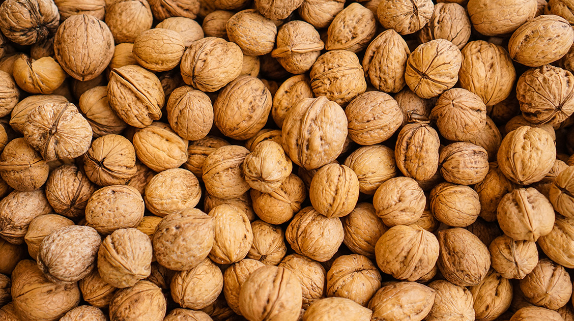 how to control uric acid walnuts can extract uric acid from the body learn the correct way to eat them 2