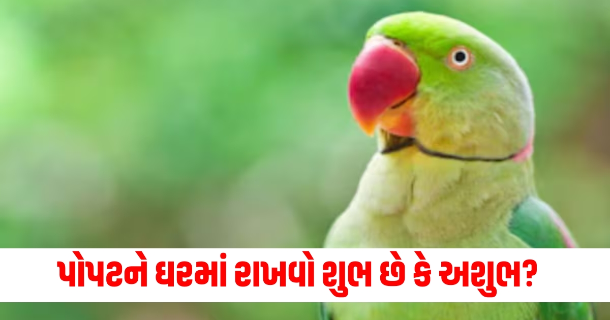 parrot keeping parrot at home is auspicious or not know vastu tips F