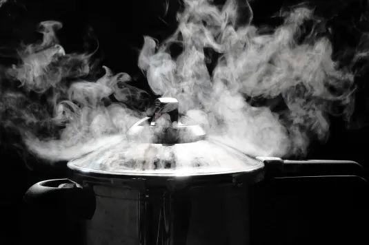 reasons that are responsible if pressure cooker is not working 1