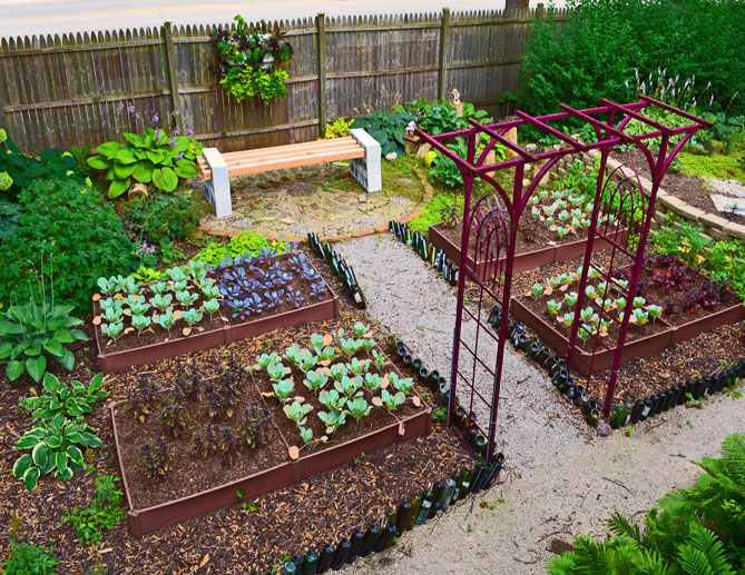 the roof of the building has been converted into a garden vegetables are prepared from organic manure 1