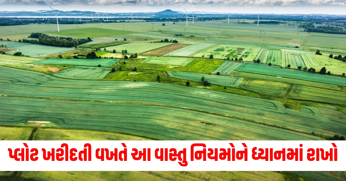 vastu tips for new land keep these point in mind while purchasing new plot f