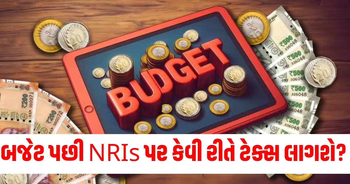 બજેટ 2024 પછી NRIs પર કેવી રીતે ટેક્સ લાગશ