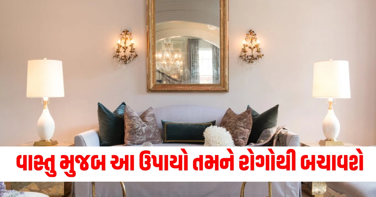 વાસ્તુ મુજબ આ ઉપાયો તમને રોગોથી બચાવશ