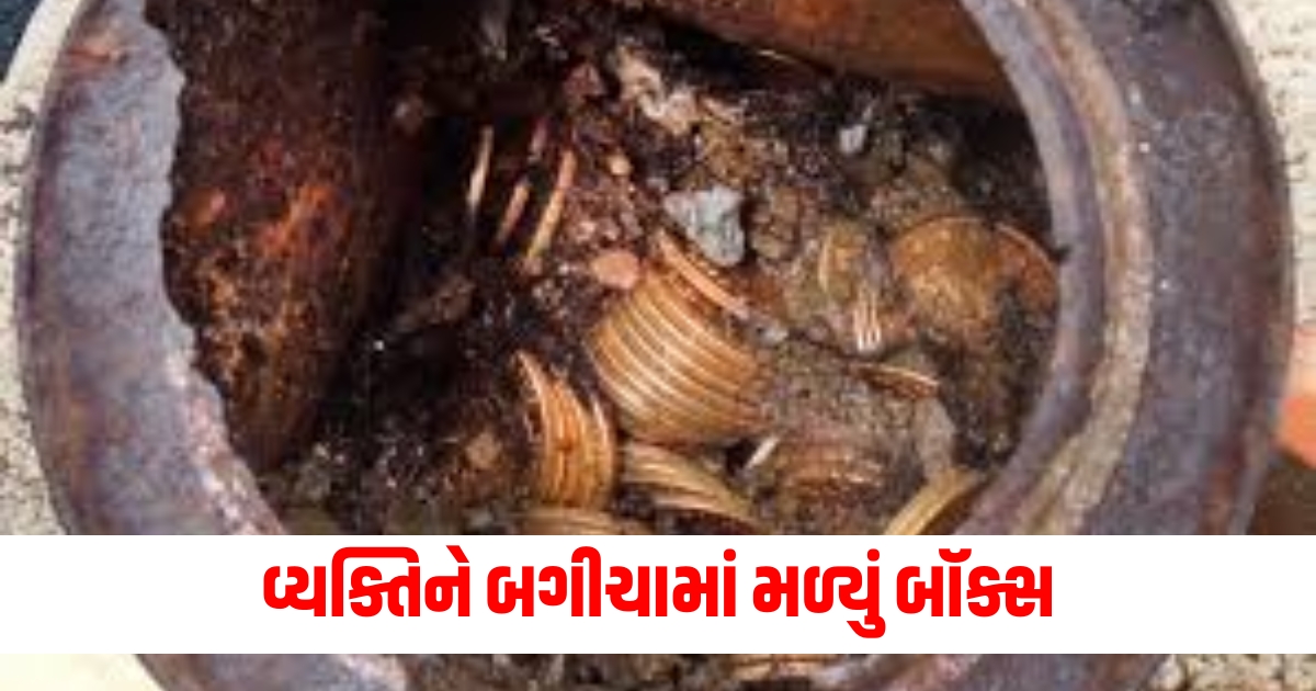 વ્યક્તિને બગીચામાં મળ્યું બૉક્સ