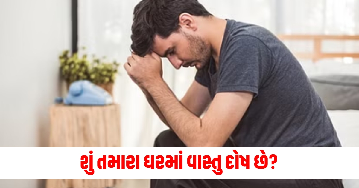 શું તમારા ઘરમાં વાસ્તુ દોષ છે