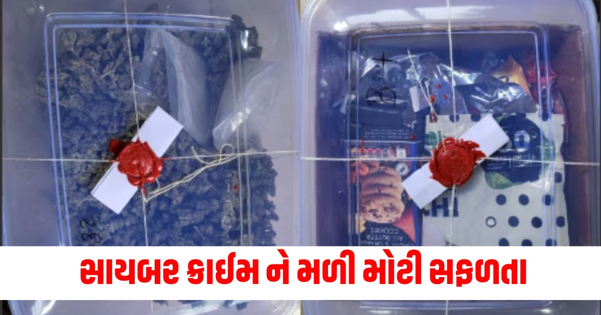 સાયબર ક્રાઈમ ને મળી મોટી સફળતા