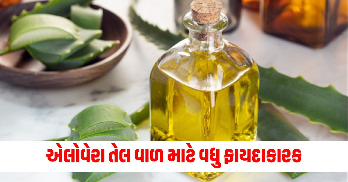 beauty aloe vera oil is more beneficial than aloe vera gel will give new life to hair 324