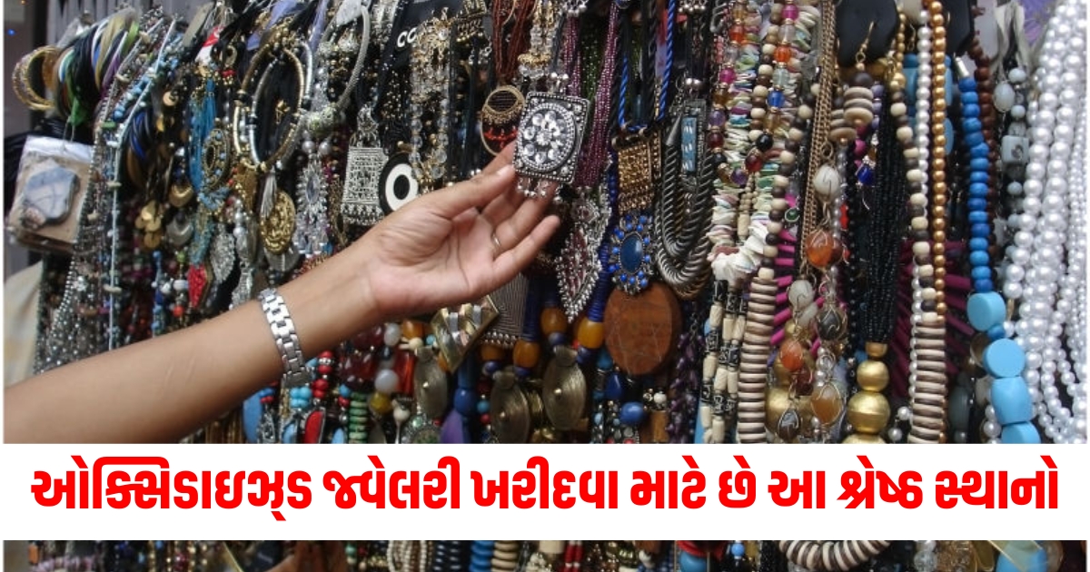 best shopping places in udaipur for oxidised jewellery articleer4