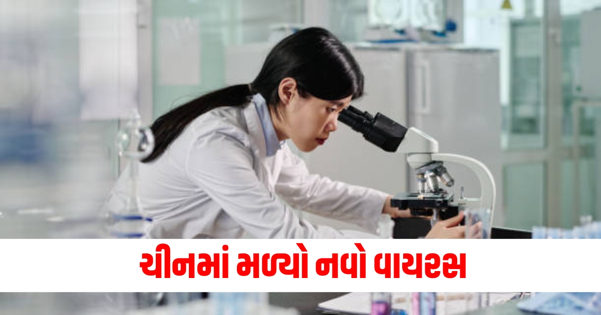 ચીનમાં નવો વાયરસ 2024, નવી વાયરસ લક્ષણો, ચીનના વાયરસ દર્દી લક્ષણો, ચીન વાયરસ અપડેટ, નવો વાયરસ ચિહ્નો