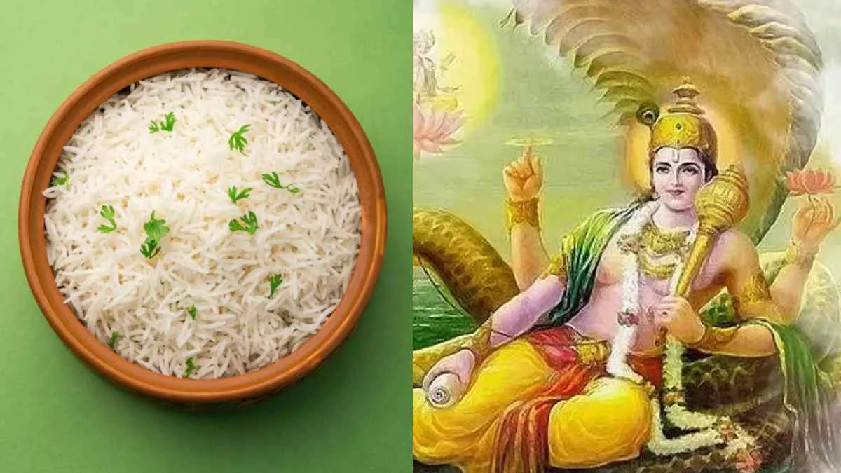 ekadashi ke din chawal kyon nahin khate why we cannot eat rice on ekadashi vrat