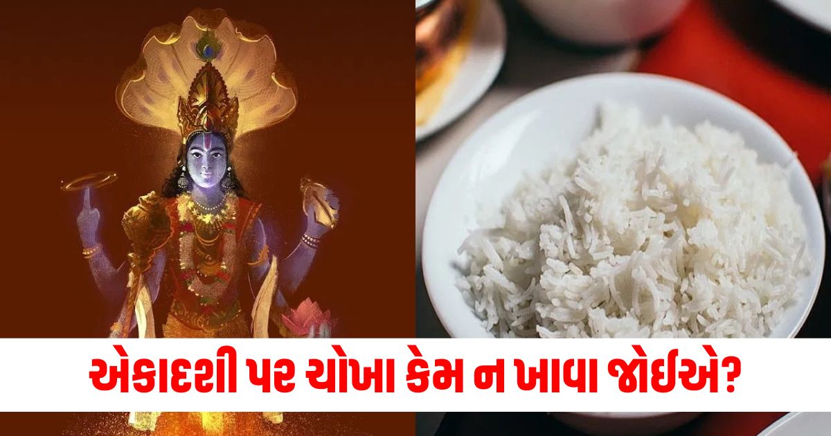 ekadashi ke din chawal kyon nahin khate why we cannot eat rice on ekadashi vrat 43