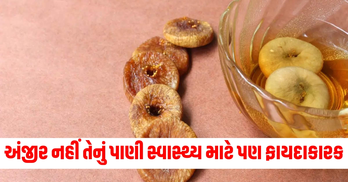 અંજીરનું પાણી ફાયદા, અંજીર અને તેના ફાયદા, અંજીર પાણી સ્વાસ્થ્ય લાભ, અંજીર સેવન માર્ગદર્શિકા, અંજીર પાણીની ઉપયોગીતા,