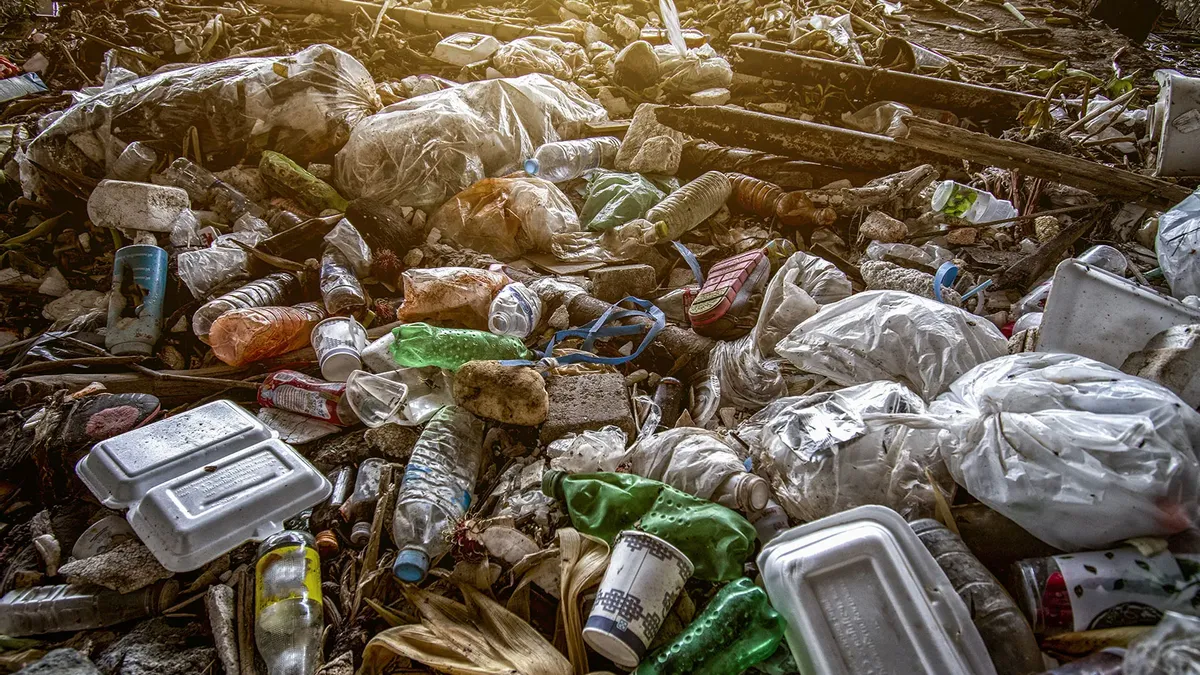 garbage will one person spread by 2025 came out in the report324