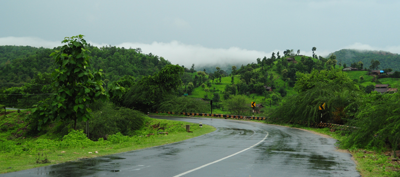 gujarat polo forest closed till september 18 due to heavy rains1