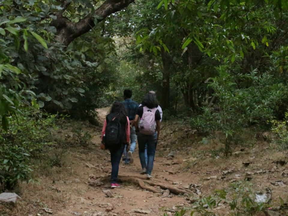 gujarat polo forest closed till september 18 due to heavy rains2