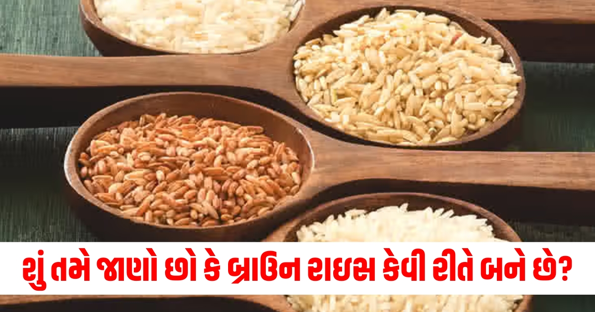 how brown rice is made article we