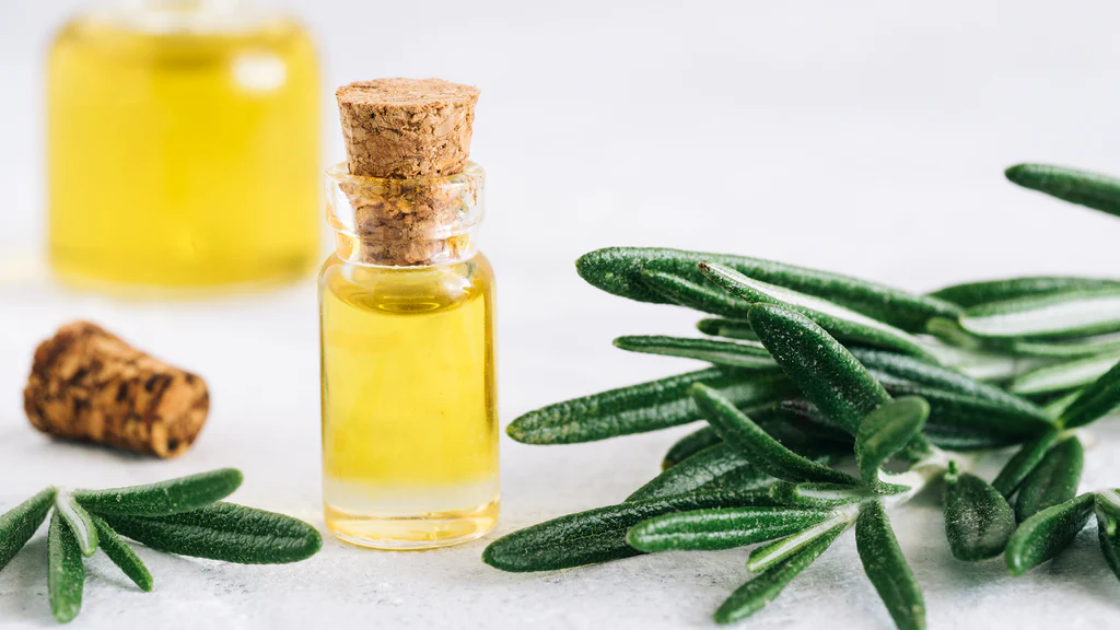 how to heal cracked heels with raw turmeric mustard and rosemary oil article 324